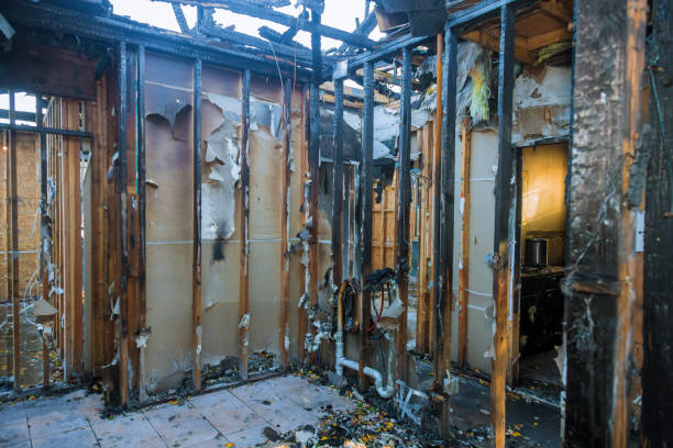 Professional Emergency Fire Cleanup technician working in Webster, FL
